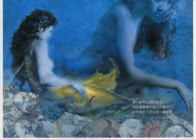 《愛魚沒靈魂》