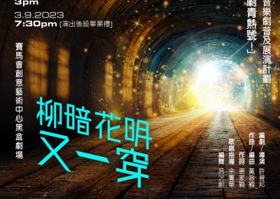 音樂劇《柳暗花明又一穿》